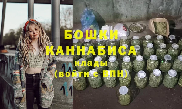 молекула духа Новокубанск