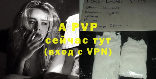 молекула духа Новозыбков