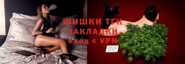 молекула духа Новозыбков