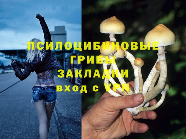 PSILOCYBIN Зеленодольск