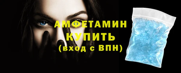 молекула духа Новозыбков