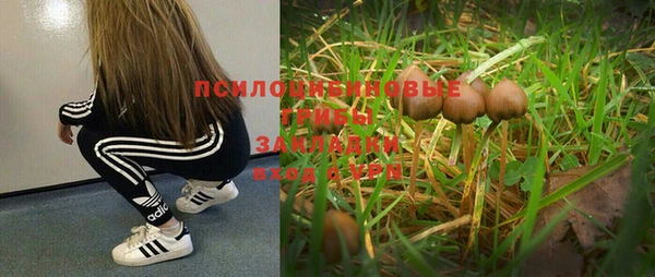 дурь Новодвинск