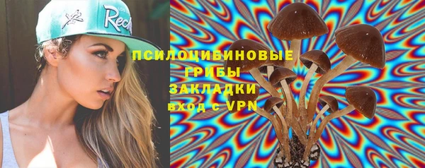 PSILOCYBIN Зеленодольск