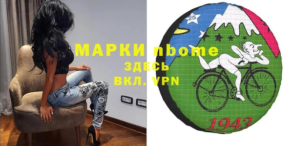 молекула духа Новозыбков