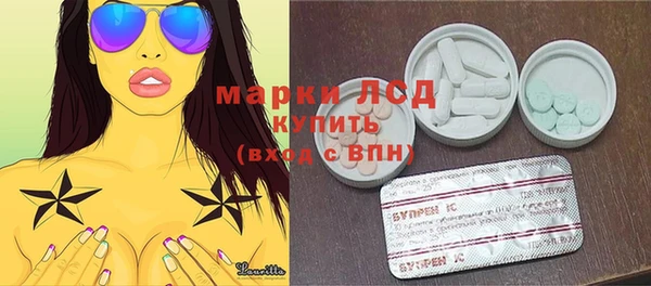 молекула духа Новозыбков