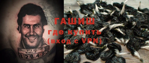 молекула духа Новозыбков