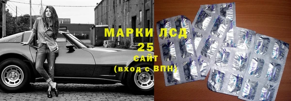 молекула духа Новозыбков