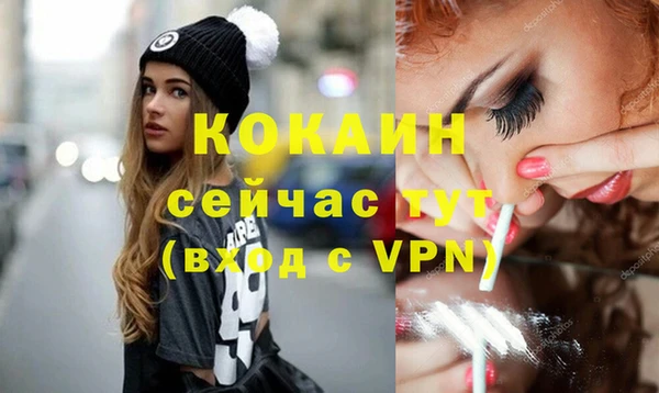 молекула духа Новозыбков
