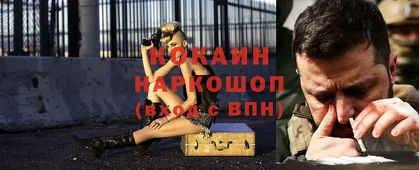 дурь Новодвинск