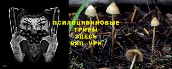 ПСИЛОЦИБИНОВЫЕ ГРИБЫ Нефтегорск