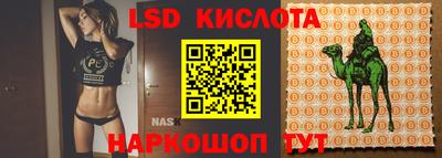 a pvp Донской