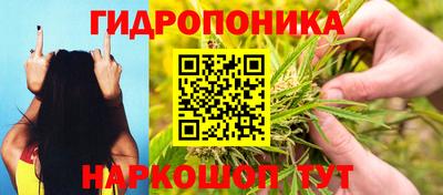 a pvp Донской
