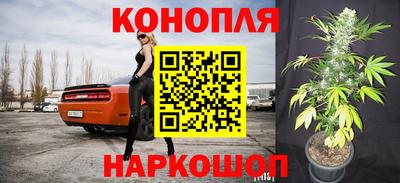 мдпв Кингисепп