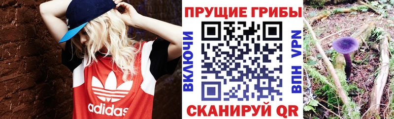 купить наркотик Лениногорск Галлюциногенные грибы ЛСД