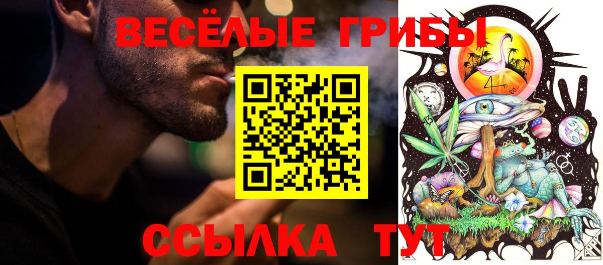 Лениногорск  Псилоцибиновые грибы MAGIC MUSHROOMS  Вход с VPN 