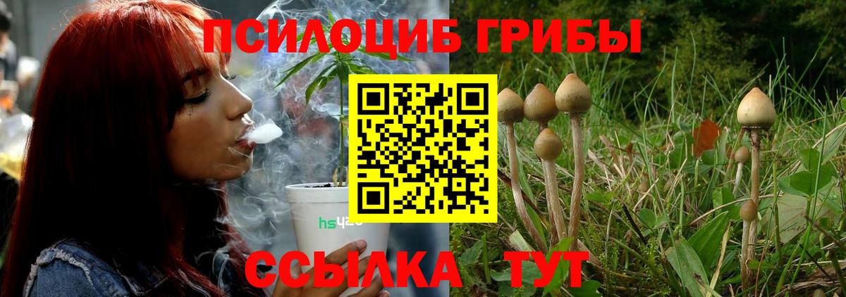 Галлюциногенные грибы мухоморы Лениногорск